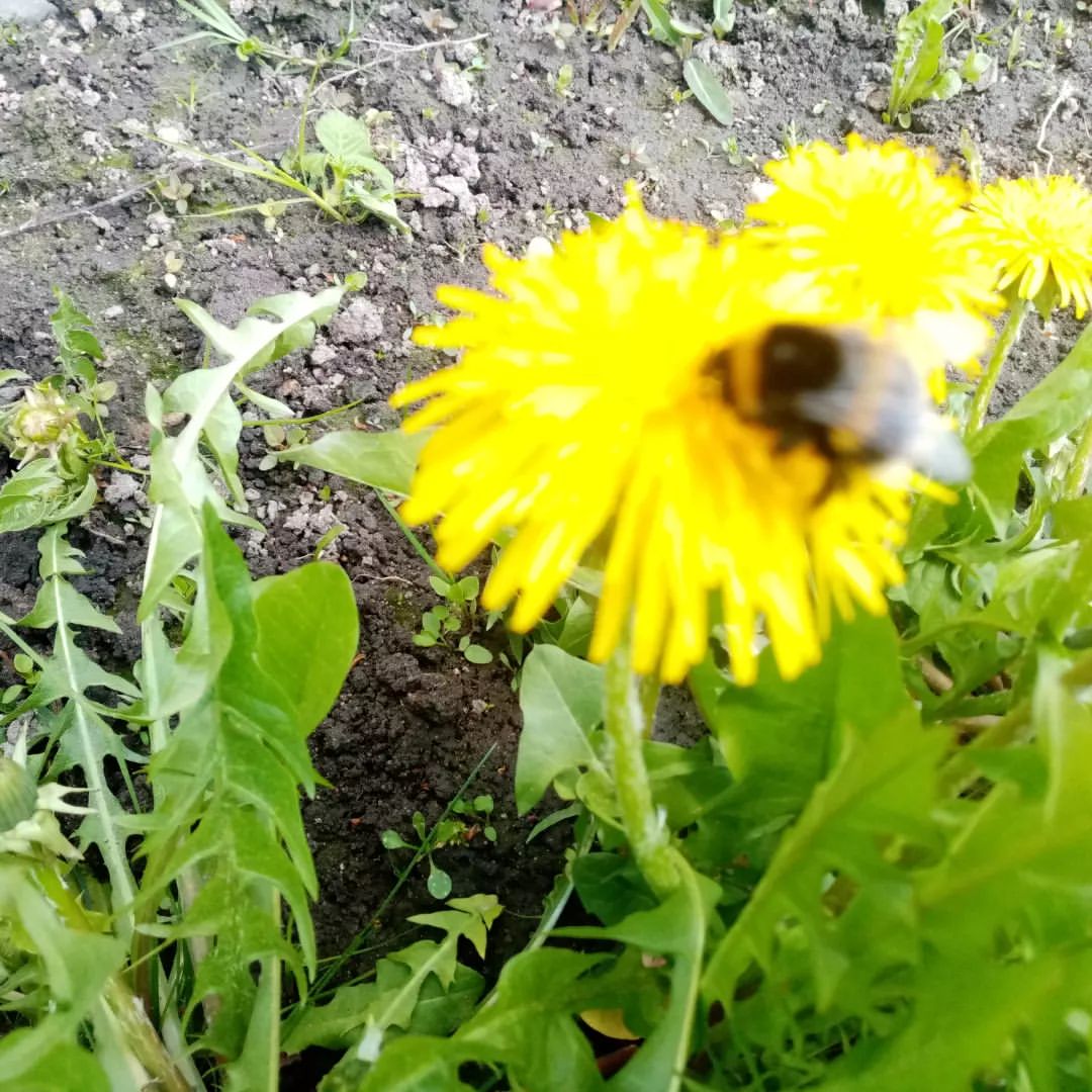 alekseygulidin_official в LOOKY — фото 6