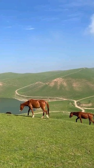 baha_stud1o в LOOKY. . Tabiiy manzara va ha...