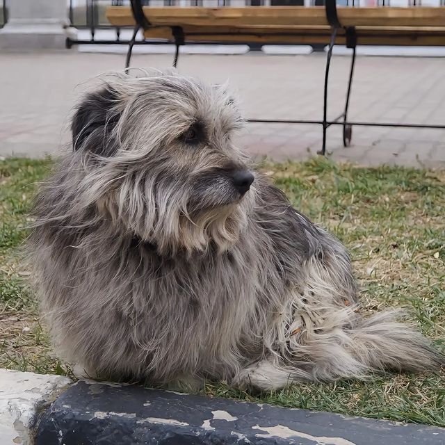 mi.lfox в LOOKY. #photographer,#pro,#posture,#whitebackground,#photo,#lipstick,#Beautiful,#horse,#horseriding#dog,#doglover,#jumpinghorse,#фото,#модель,#фотограф,#конь,#скачки,#лошадь,#конныйспорт,#собака,#собакадругчеловека,#курсант. •Cutie •

model #pho...