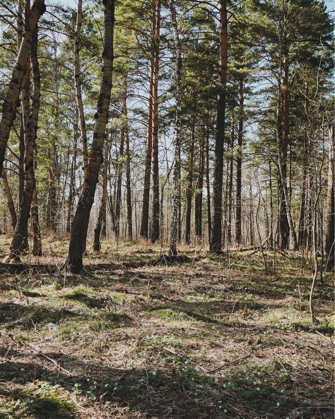 dalena.__ в LOOKY — фото 4