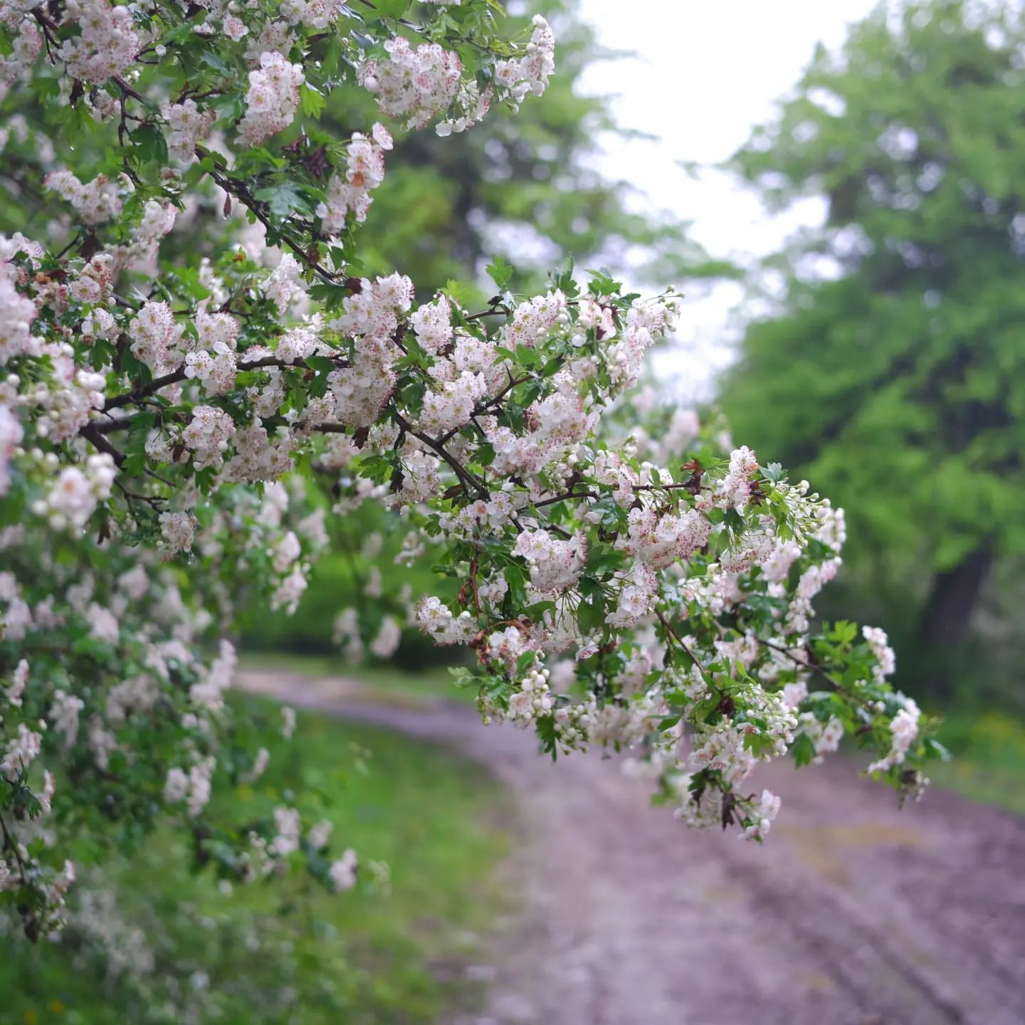 backpacking.russia в LOOKY — фото 8