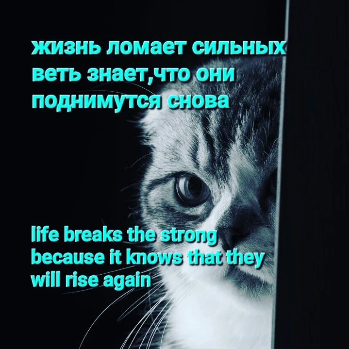 ivanze11 в LOOKY — Цитаты quote