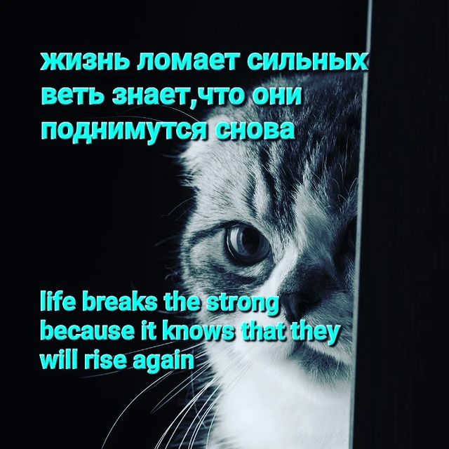 ivanze11 in LOOKY. . Цитаты quote