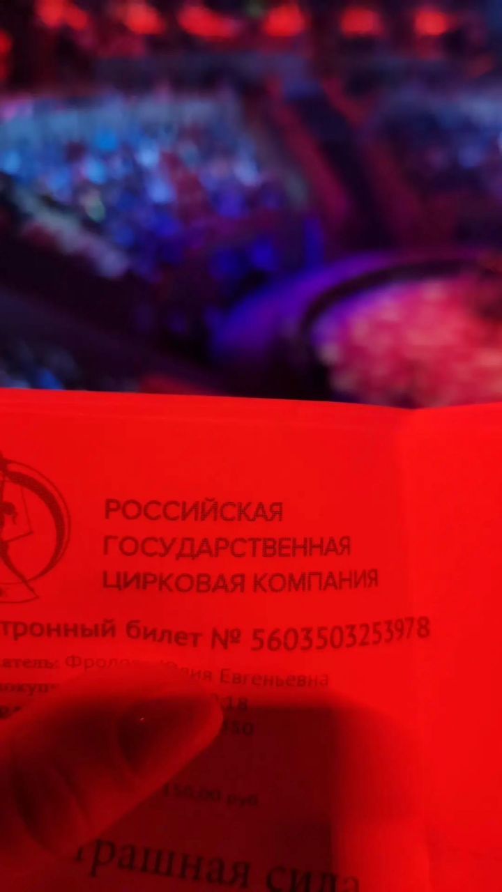 123456yulua в LOOKY. #Цирк,#БратьевЗапашных,#Санкт_Петербург. #Цирк #БратьевЗапашн...