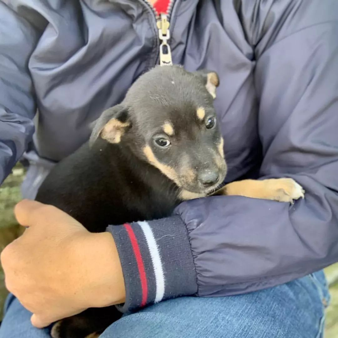 zoogelendzhik в LOOKY — фото 6