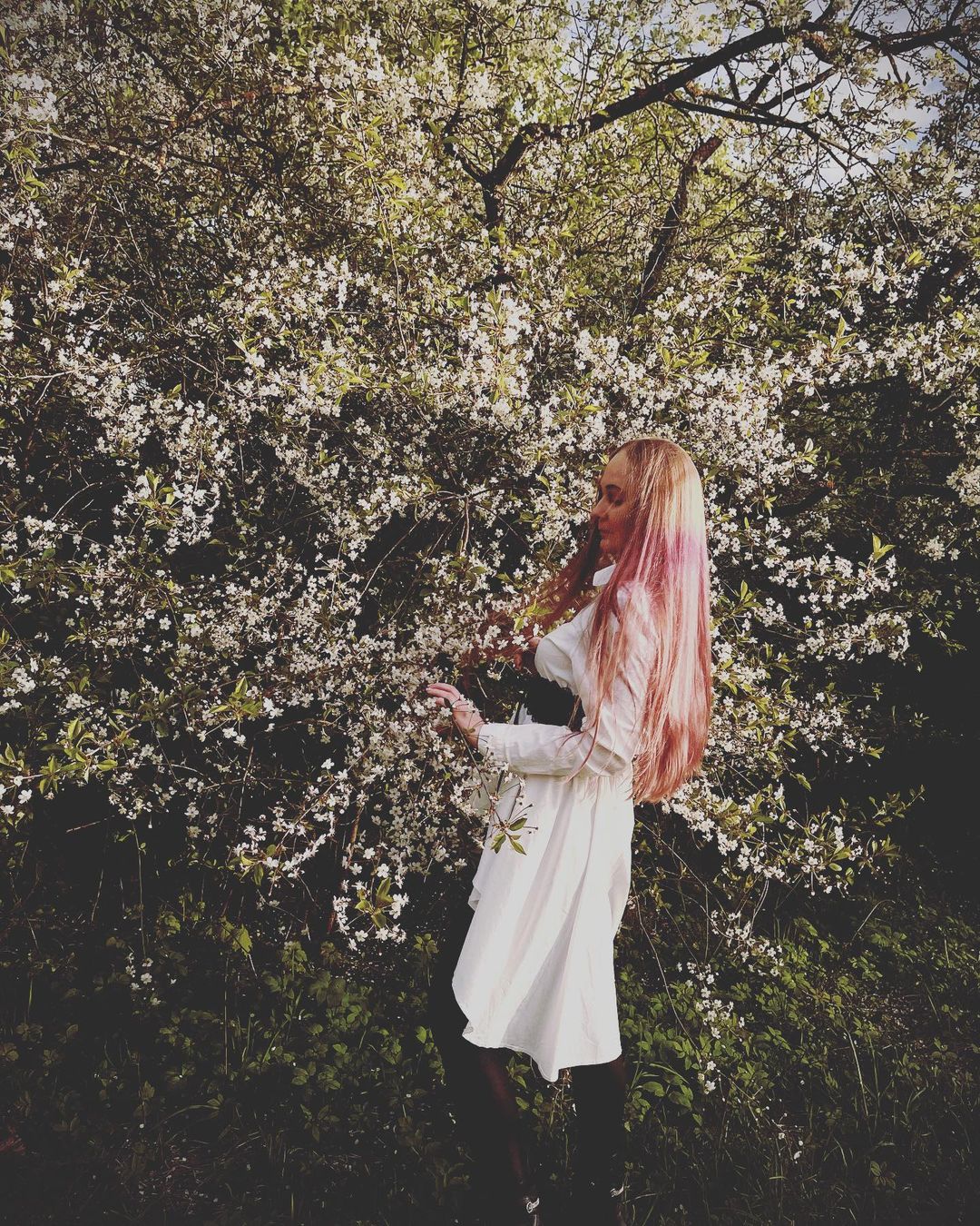 alexxshu в LOOKY — публикация