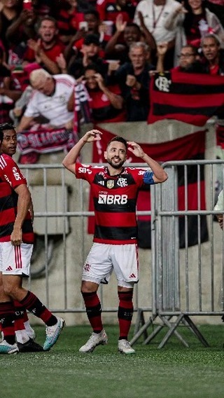 srchagas.flamengo в LOOKY. #Flamengo,#SRCHAGAS,#Brasileirão2023. Criticamos e torcemo...