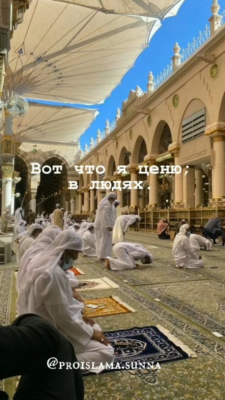 proislama.sunna в LOOKY. . «Избегайте лживых ре...