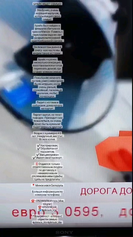 nadejdakrista в LOOKY. . Нужен дом