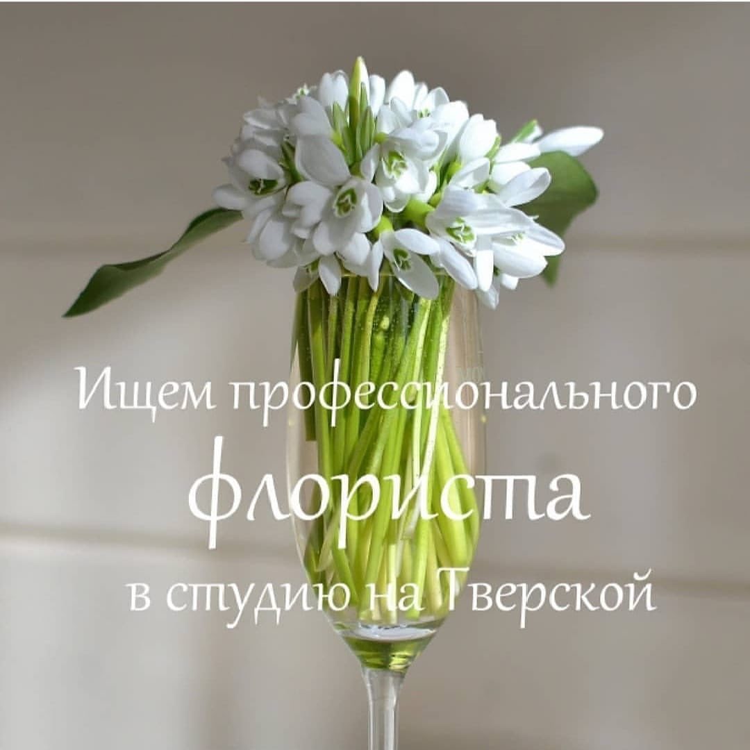 Студия цветов BUKETTO приглашает на постоянную работу опытного флориста.

Обязанности:

общение с клиентами, прием заказов,
составление букетов и композиций, продажа цветов, подарков, упаковка подарков, уход за срезкой, поддержание чистоты в холодильнике, в салоне и на витринах, работа с кассой и с программой Posiflora.

Требования:

- опыт работы флористом от 3 лет, приветствуется наличие флористического образования; 
- владение основными техниками сборки букетов; 
- умение и желание работать в нашем стиле (см. работы на нашем сайте buketto.ru; под стилем  подразумеваются в т.ч. цветовые сочетания, формы букетов и способы их упаковки, ассортимент цветов); 
- умение собирать букеты по каталогу на сайте;

из личных качеств: хороший вкус, порядочность, доброжелательность, ответственность, чистоплотность, грамотная устная и письменная речь;
готовность работать активно, нагрузка в течение смены обычно высокая.

Условия:
график работы сменный.
Место работы - студия цветов на Тверской (м. "Охотный ряд", торговый центр "Галерея Тверская 9"
Заработная плата 70000- 75000

 ‼️‼️‼️ Пожалуйста, пишите на WhatsApp  8-926-168-25-72 Наталья . Представьтесь и напишите краткую информацию о себе и отправьте несколько фото своих работ 🌞‼️‼️‼️