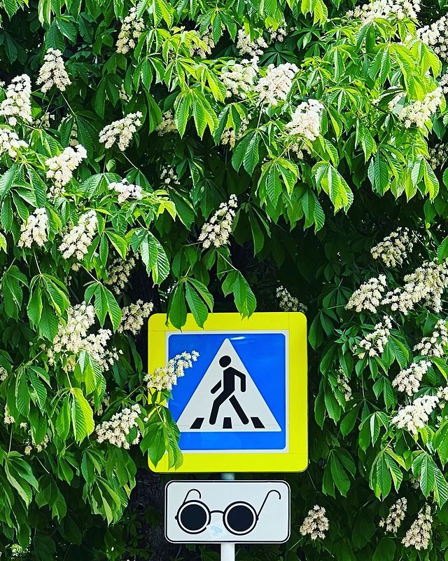 fazerkmw в LOOKY. #Россия,#Кавказ,#ЮФО,#Анапа,#ЧерноеМоре. Сними очки, подойди ...