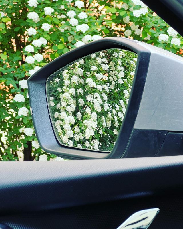 fazerkmw в LOOKY. #Россия,#Кавказ,#ЮФО,#Анапа,#ЧерноеМоре. Сбой матрицы #Россия...