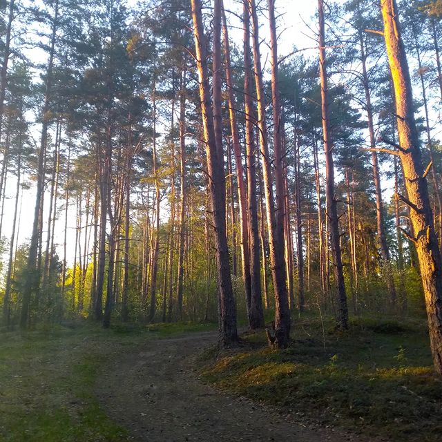 alexpskov58 в LOOKY. . Today, May 14 is the...