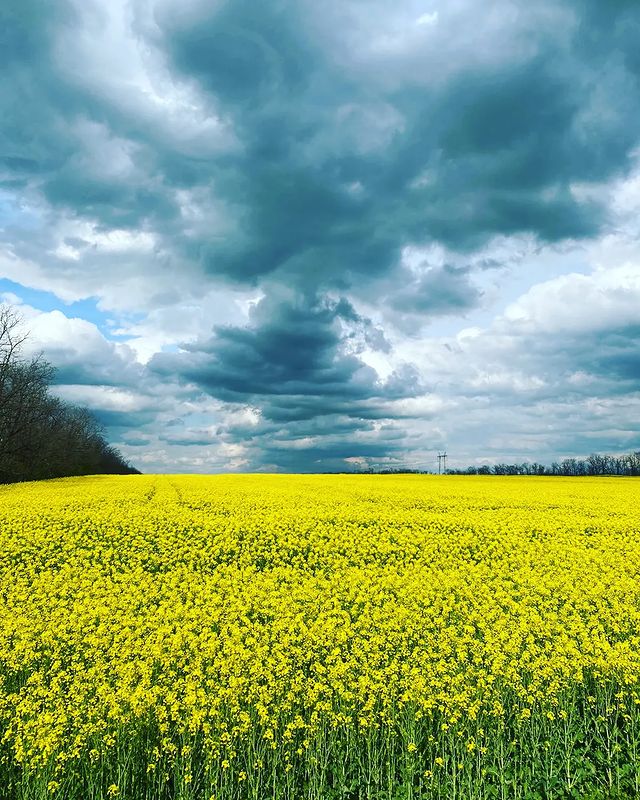 ivan_photo_s в LOOKY. . Не могу без любимого...
