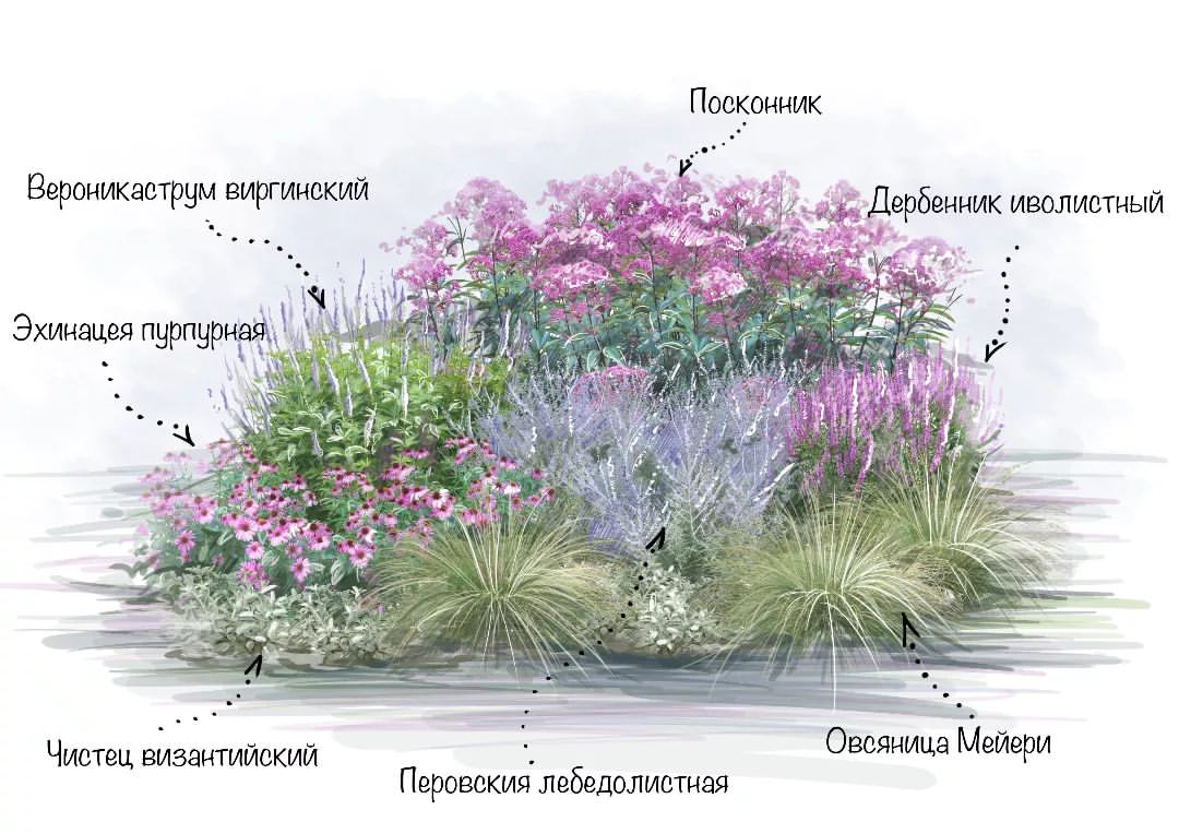 olga_landscape_art в LOOKY. . КАК УСКОРИТЬ РАБОТУ ...