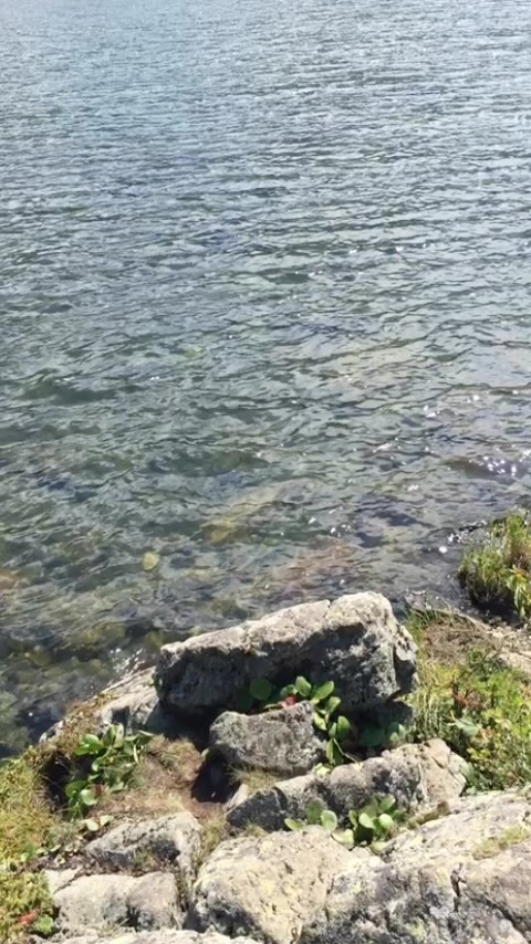 tourism_in_altai в LOOKY. . Представьте себе, чт...
