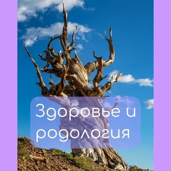 katy_antiage в LOOKY. . Катя, занимаешься ли...