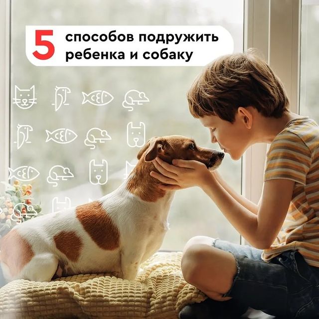 zoogalereya_club в LOOKY. . 5 советов, как подру...