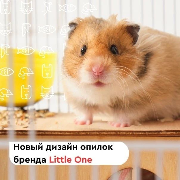 zoogalereya_club в LOOKY. . Любимый наполнитель ...