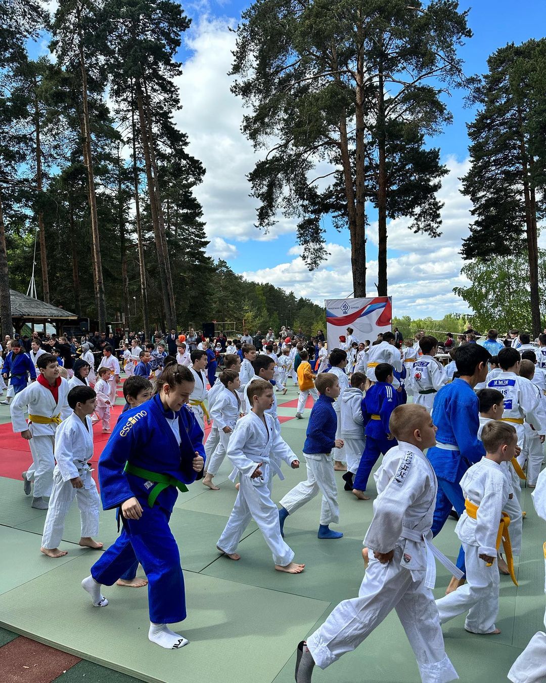 judo_pride в LOOKY — фото 3