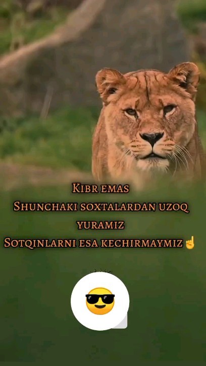 a.q.i.l.i_b.o.l.a_ в LOOKY. . Rekka chiqaraylik💜�...