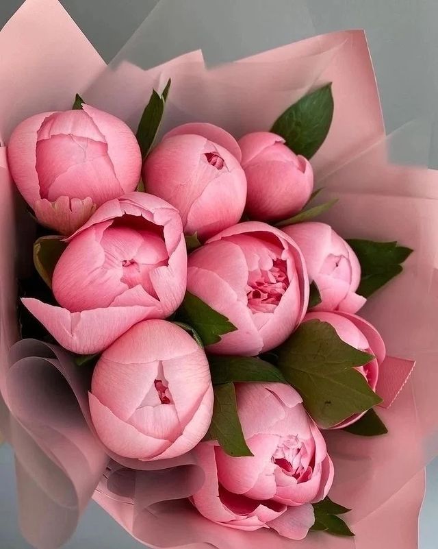 love_sunny2001 в LOOKY. . Мои любимые цветы))