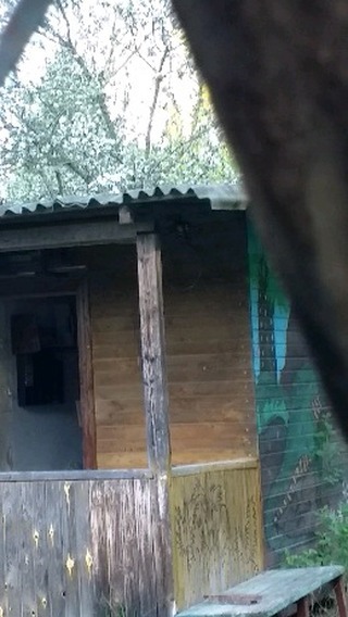bukhvalovaevgeniia в LOOKY. . Такой гость у нас ут...