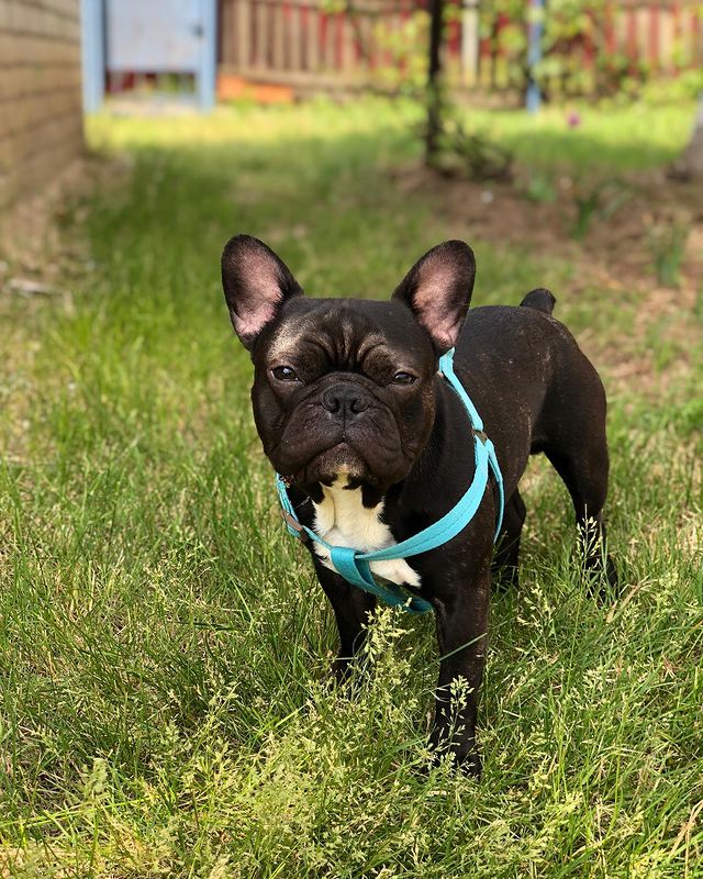 papa.olegaleks в LOOKY. . 😑/😛