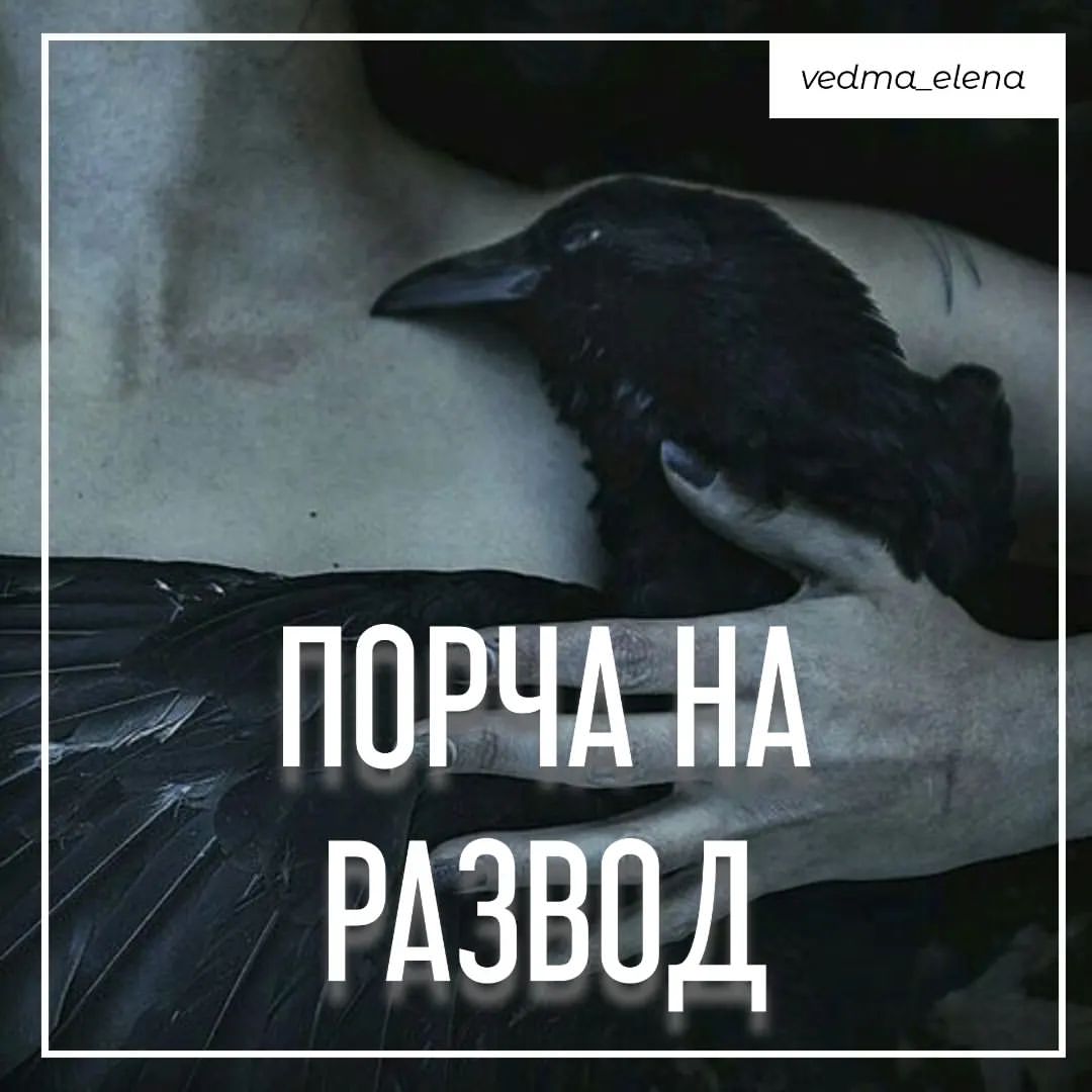 vedma_elena в LOOKY — Порча на развод разобьет даже саму крепкую семейную пару. Ра