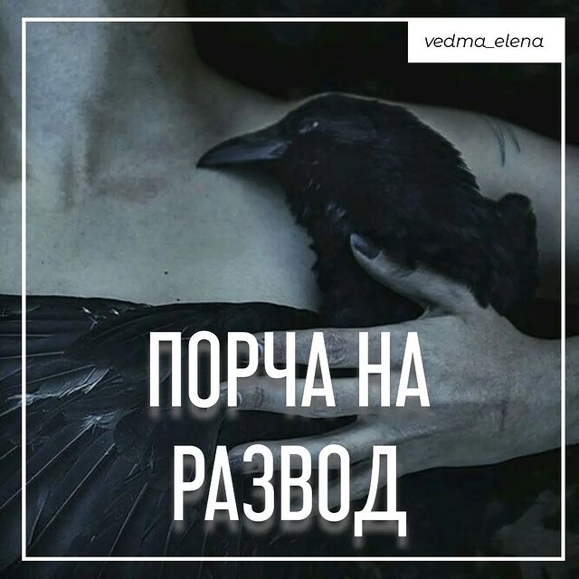 vedma_elena в LOOKY. #отворотнапару,#отворотпофото,#отворотсоперницы,#отворотлюбовницы,#отворотжены,#отворотмужа,#приворотнамужа,#приворотмужа,#приворотпофото,#приворотмужчины,#приворотпофото,#приворотпофотографии,#рассорка,#рассоркапофотографии,#рассоркапофото,#отворотнавсегда,#ледянаяостуда,#остудаотношений,#остудаотсоперницы,#приворотмосква,#приворотвмоскве,#приворотсанктпетербург,#приворотсамара,#привороткрасноярск,#привороттюмень,#приворотвладивосток,#порчанаотношения,#порчанаказание,#порчапофотографии,#порчабыстрая,#сильныйприворот. Порча на развод разо...