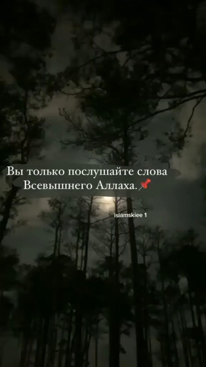 1bulatik в LOOKY. #хадисы📔,#напоминаниемусульманам,#коран_хаят,#сестры❤️,#мусульманеказани,#иман,#братьямусульмане,#татарстанкитапнәшрияты,#ВсевышнийАллах,#рай,#душамоя💙. Следуйте на пути к А...