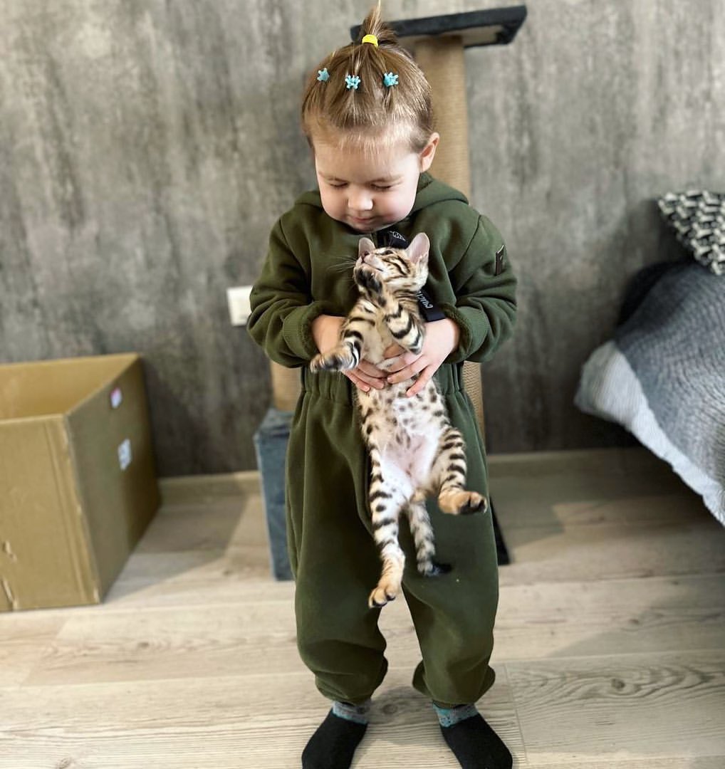 cleverr_childd в LOOKY — @evaileo