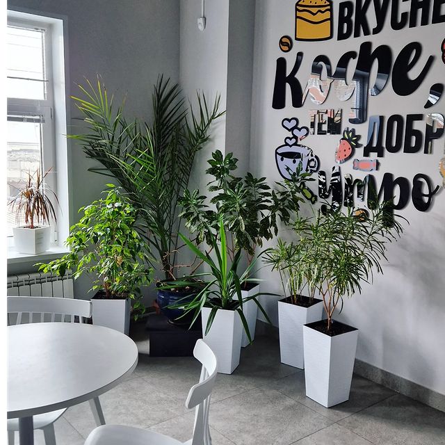 fitodecor в LOOKY. . Я ЖИВОЕ !!!
КРИЧИТ К...