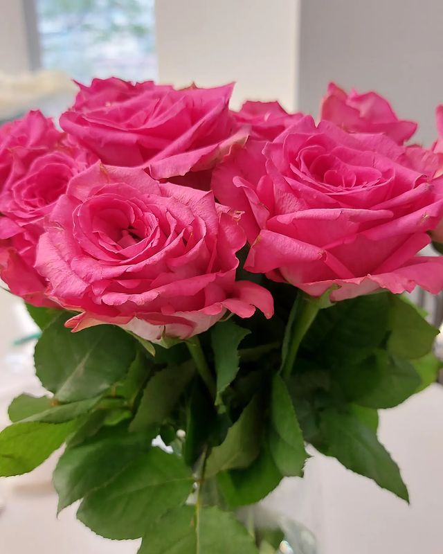 ttania_art в LOOKY. #roses,#pink,#flower. 🌺

#roses #pink #fl...