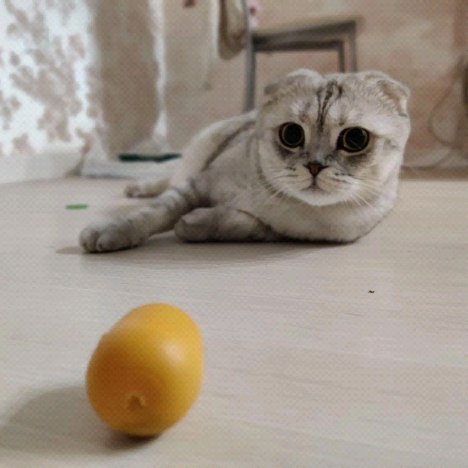 natka375 в LOOKY. . null