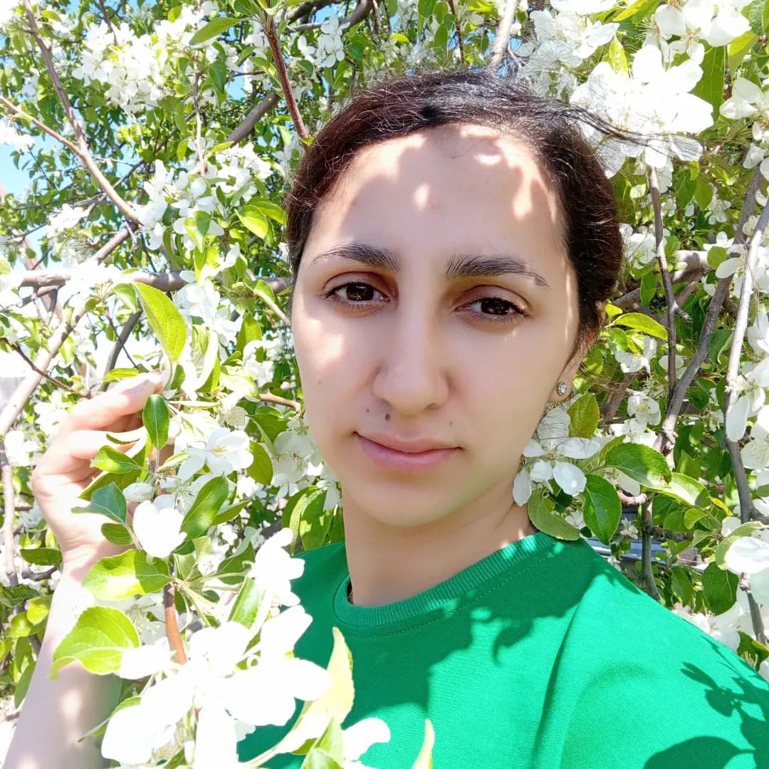 🌸🌸🌸