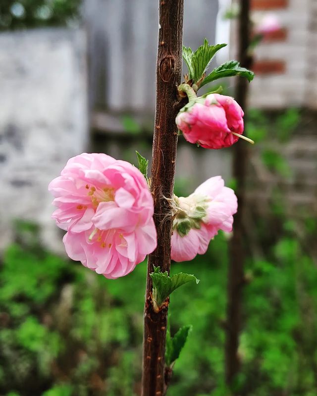 nadezhda_2202_m в LOOKY. . null