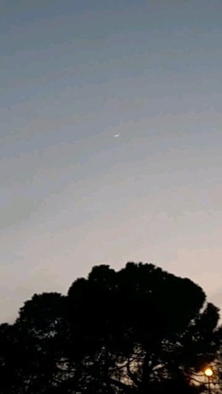 vaakhobov_ в LOOKY. . null