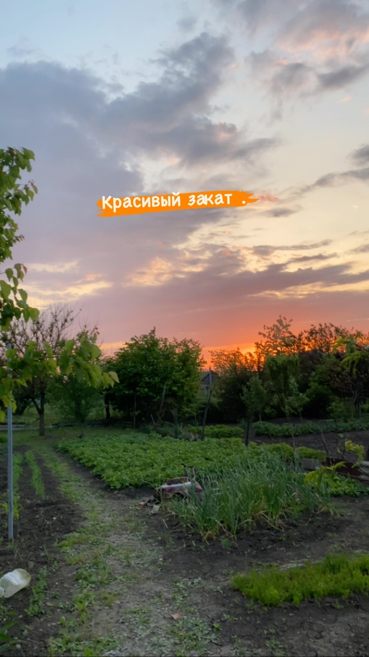natasochi2001 в LOOKY. . null