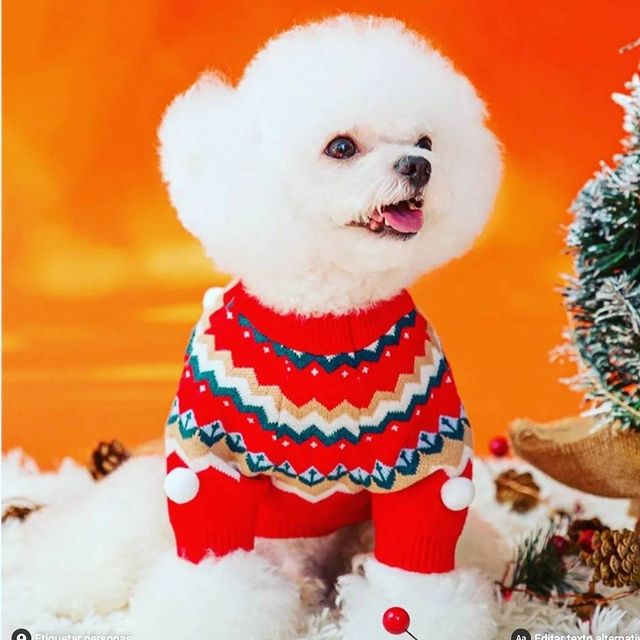 cat_dog_x в LOOKY. #wepa.s. #wepa.s

🤩👉https:/...
