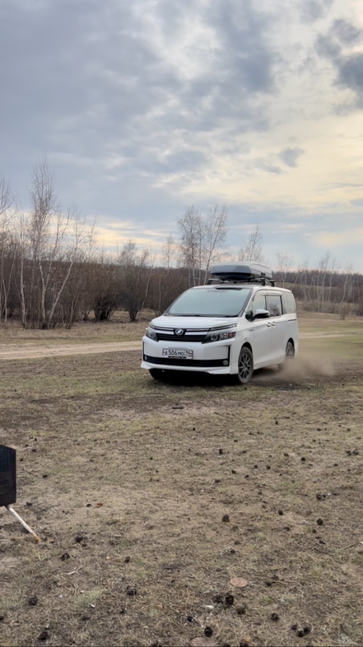 filippov_innokenty в LOOKY. . null