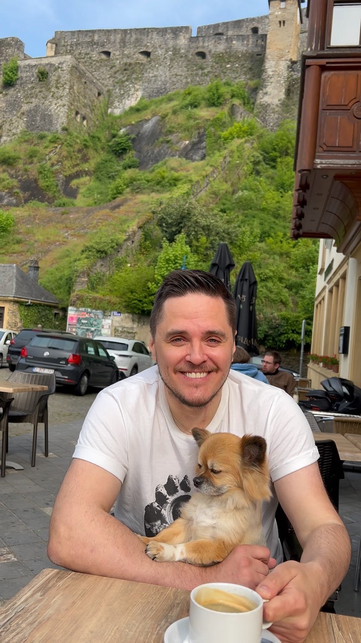 maximlein1 в LOOKY. #chihuahua,#coffee,#чихуахуа. #chihuahua #coffee ☕...
