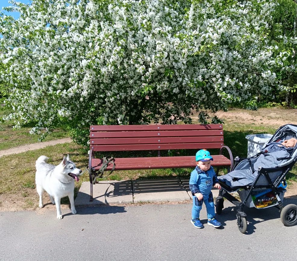 masha_skryabina13 в LOOKY. . ☀️👩‍👦🦮