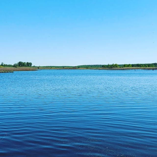 v.leletko в LOOKY. . null