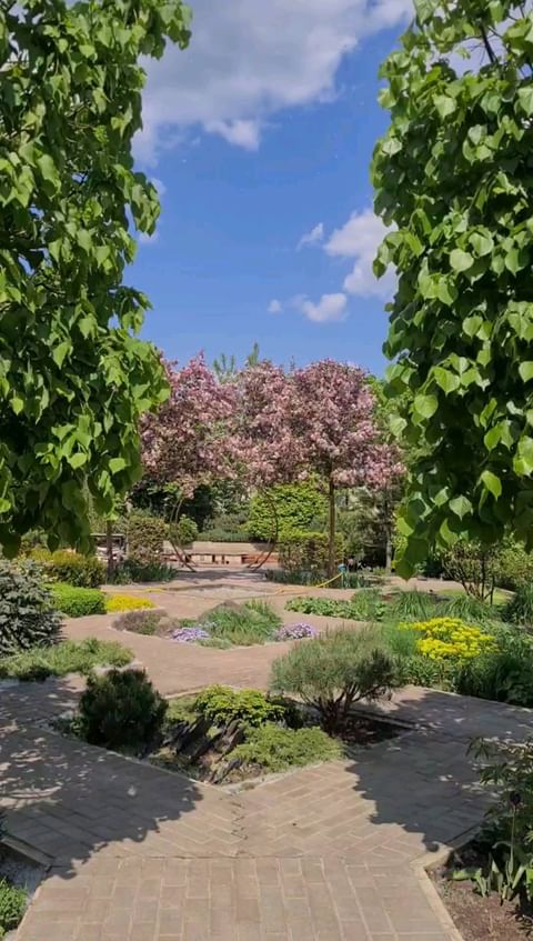 kristi_sadovod_ogorodnik в LOOKY. #secretgarden. #secretgarden 
@agro...