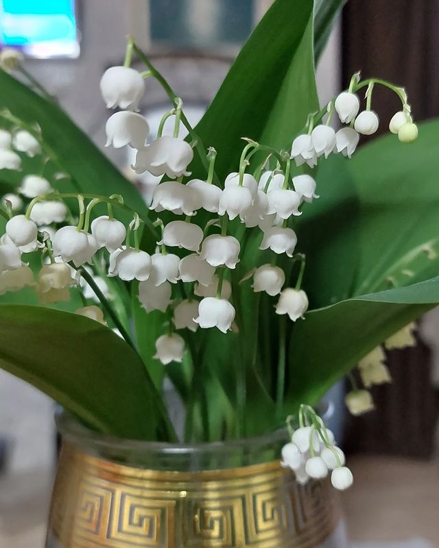nadezhda_chem в LOOKY. . Муж ходил купаться и...