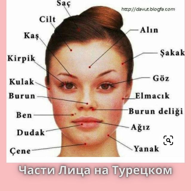 turkce.beyazzambakonline в LOOKY. #reelsinsta,#shortsyoutube,#турецкийязык. Лицо на Турецком.Заб...