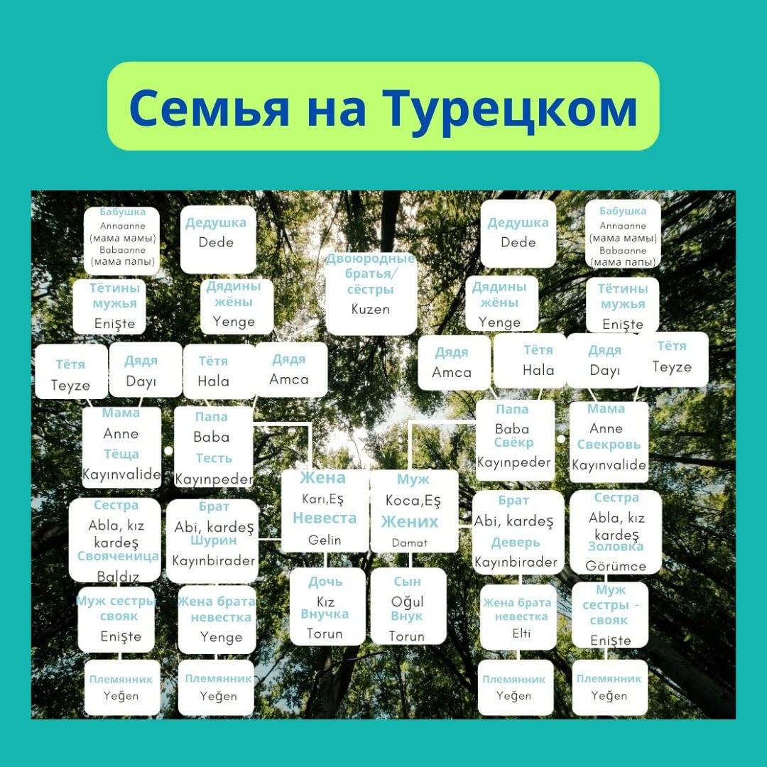 turkce.beyazzambakonline в LOOKY — Семья на Турецком.Забирай себе Учи Турецкий с нами
#турецкий