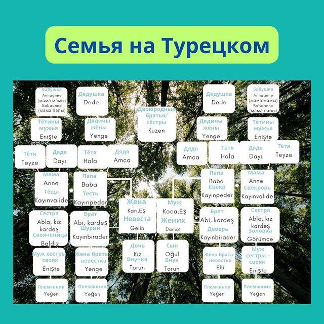 turkce.beyazzambakonline в LOOKY. #турецкийсериал,#турецкий,#турецкийязык,#турецкийтекстиль,#турецкийтрикотаж,#турецкийдесерт,#турецкийдляначинающих,#турецкийкофе,#турецкийонлайн,#турецкийязыкдляначинающих,#турецкийкостюм,#турецкийзавтрак,#турецкийчай,#турецкийснуля,#турецкийхлопок,#турецкийбренд,#турецкийсериалы,#турецкийязыконлайн,#турецкийпирог,#турецкийковер,#турецкийтовар,#турецкийфильм,#турецкийодежда,#турецкийпоскайпу,#турецкийсатин,#турецкийресторан,#турецкийтекстильоптом,#турецкийсносителем,#турецкийван,#турецкийдлярусских. Семья на Турецком.За...
