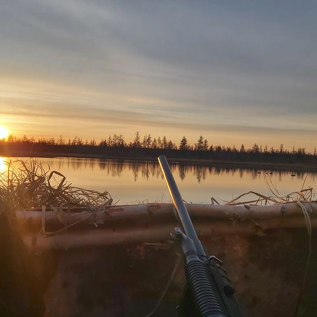 egorx069ex в LOOKY. . null